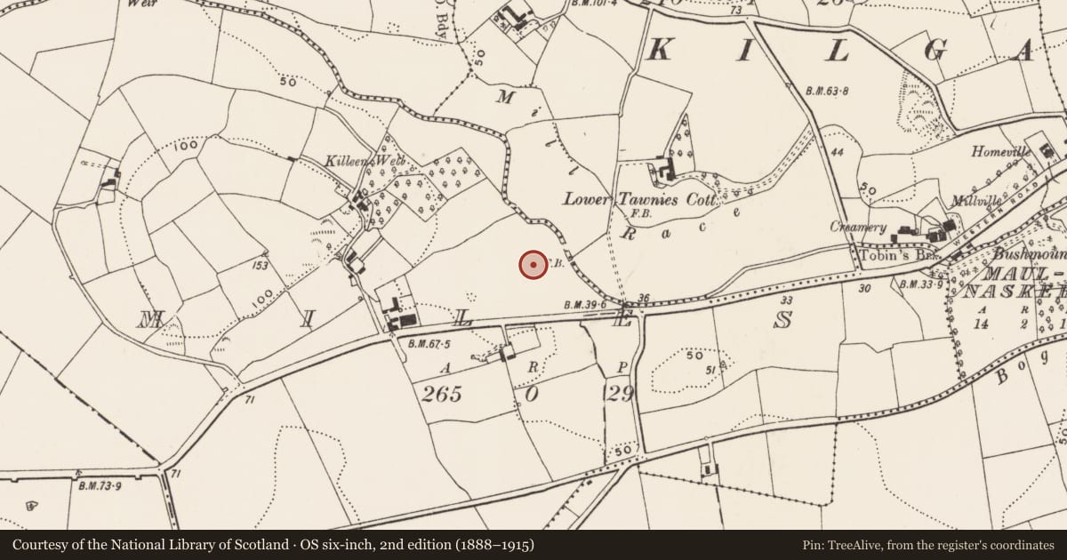 Ordnance Survey six-inch map, 2nd edition (1888–1915) covering the location of Fulacht fia, Miles, County Cork, with a pin at the register's coordinates