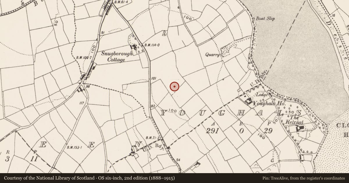 Ordnance Survey six-inch map, 2nd edition (1888–1915) covering the location of Ring-ditch, Youghals, County Cork, with a pin at the register's coordinates