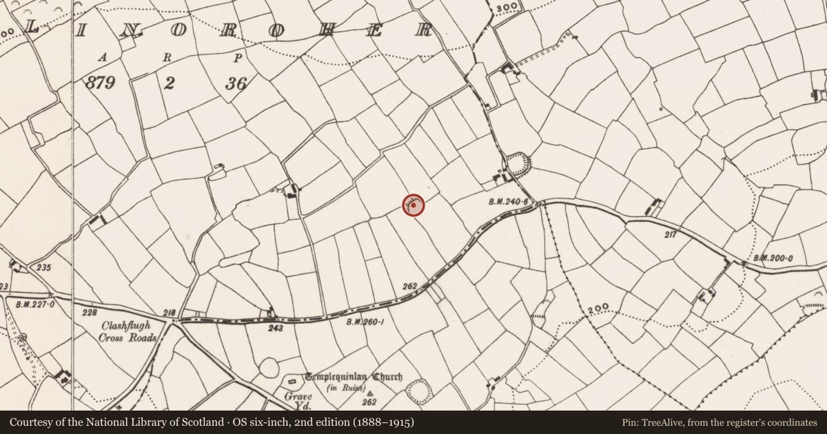 Ordnance Survey six-inch map, 2nd edition (1888–1915) covering the location of Ringfort - rath, Ballinoroher (Carbery E. By., Templequinlan Par.), County Cork, with a pin at the register's coordinates