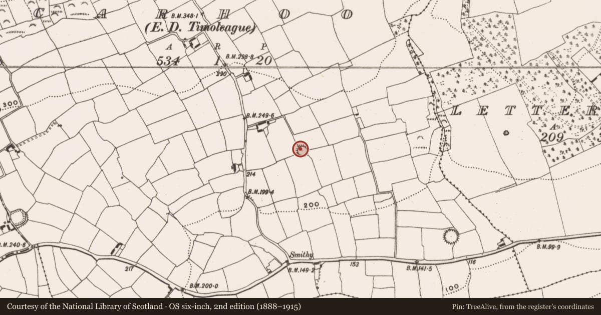 Ordnance Survey six-inch map, 2nd edition (1888–1915) covering the location of Ringfort - rath, Carhoo (Ibane and Barryroe By., Timoleague Par.), County Cork, with a pin at the register's coordinates