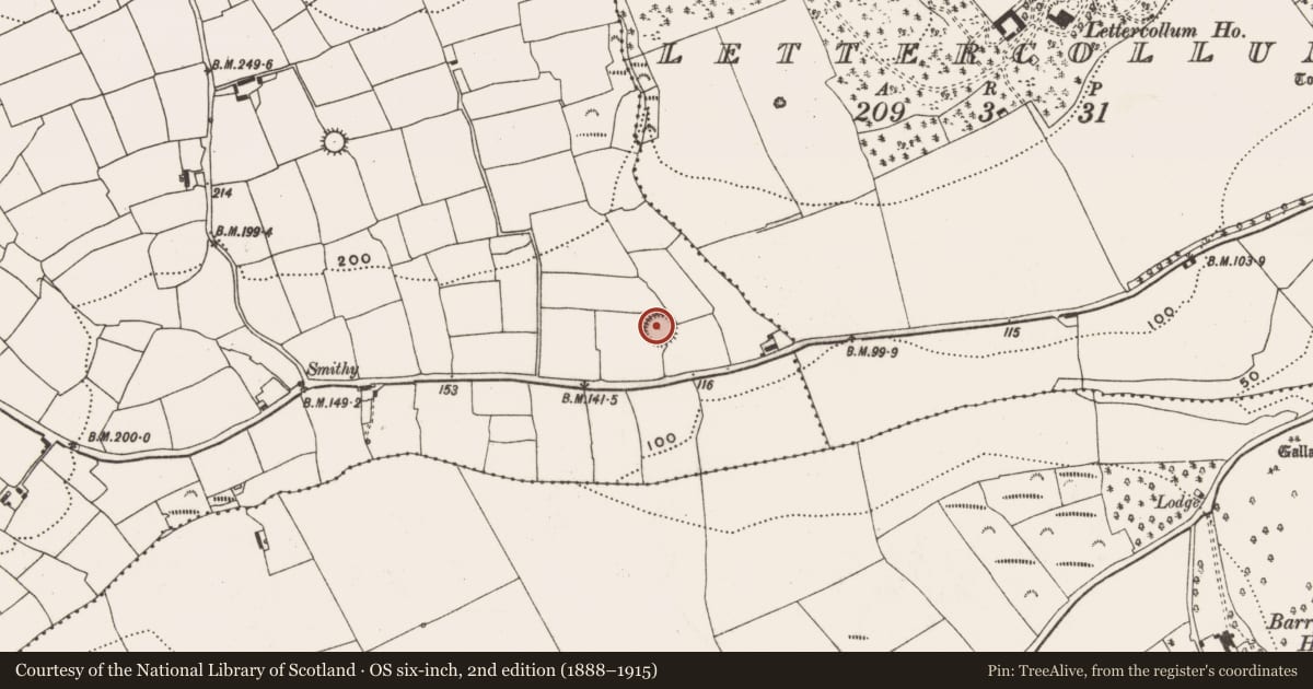 Ordnance Survey six-inch map, 2nd edition (1888–1915) covering the location of Ringfort - rath, Carhoo (Ibane and Barryroe By., Timoleague Par.), County Cork, with a pin at the register's coordinates