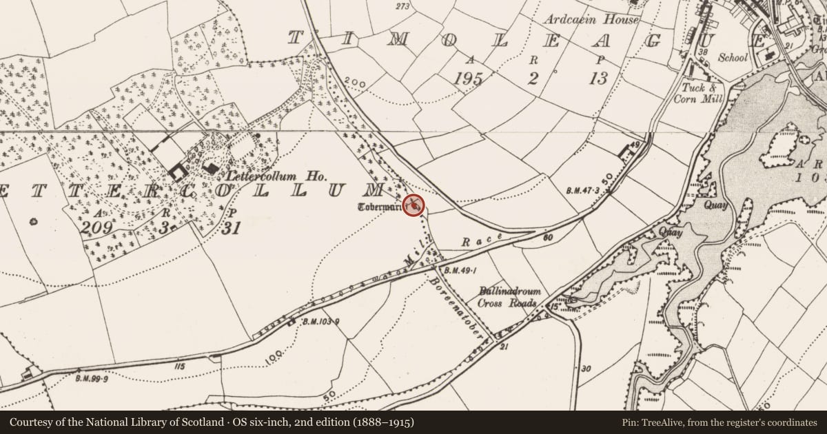 Ordnance Survey six-inch map, 2nd edition (1888–1915) covering the location of Ritual site - holy well, Lettercollum, County Cork, with a pin at the register's coordinates