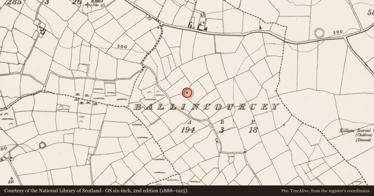 Ordnance Survey six-inch map, 2nd edition (1888–1915) covering the location of Ringfort - rath, Ballincourcey, County Cork, with a pin at the register's coordinates