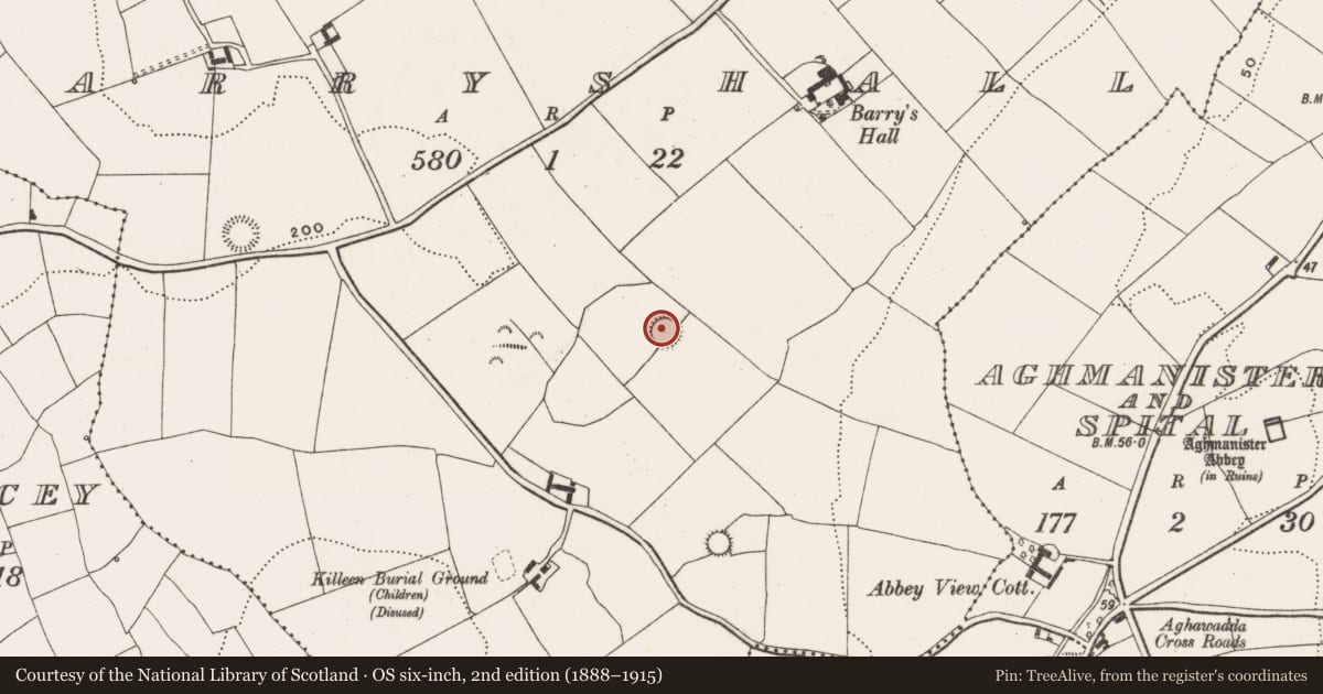 Ordnance Survey six-inch map, 2nd edition (1888–1915) covering the location of Ringfort - rath, Barryshall, County Cork, with a pin at the register's coordinates