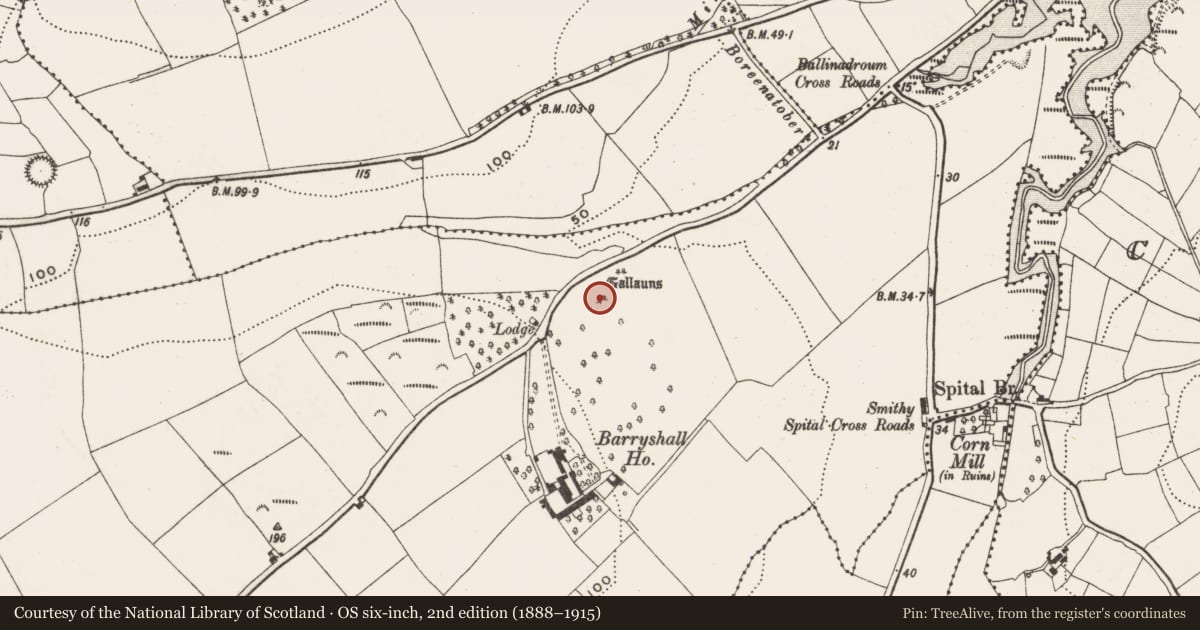 Ordnance Survey six-inch map, 2nd edition (1888–1915) covering the location of Standing stone - pair, Barryshall, County Cork, with a pin at the register's coordinates