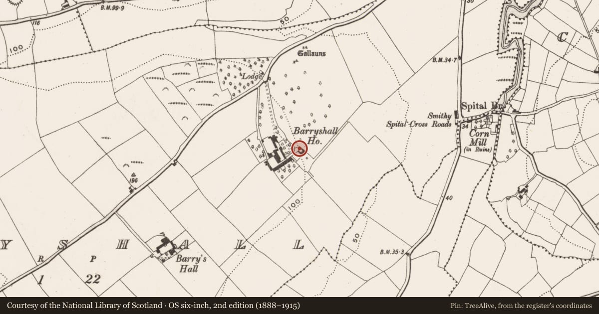 Ordnance Survey six-inch map, 2nd edition (1888–1915) covering the location of Midden, Barryshall, County Cork, with a pin at the register's coordinates