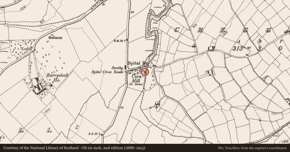 Ordnance Survey six-inch map, 2nd edition (1888–1915) covering the location of Mill - corn, Aghamanister And Spital, County Cork, with a pin at the register's coordinates
