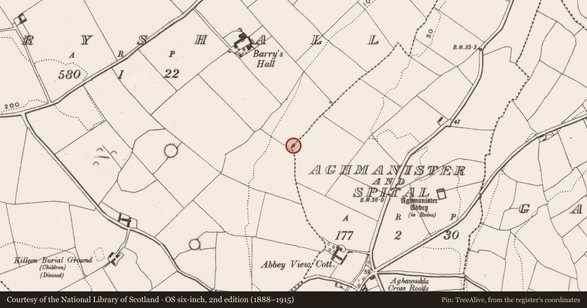 Ordnance Survey six-inch map, 2nd edition (1888–1915) covering the location of Fulacht fia, Aghamanister And Spital, County Cork, with a pin at the register's coordinates