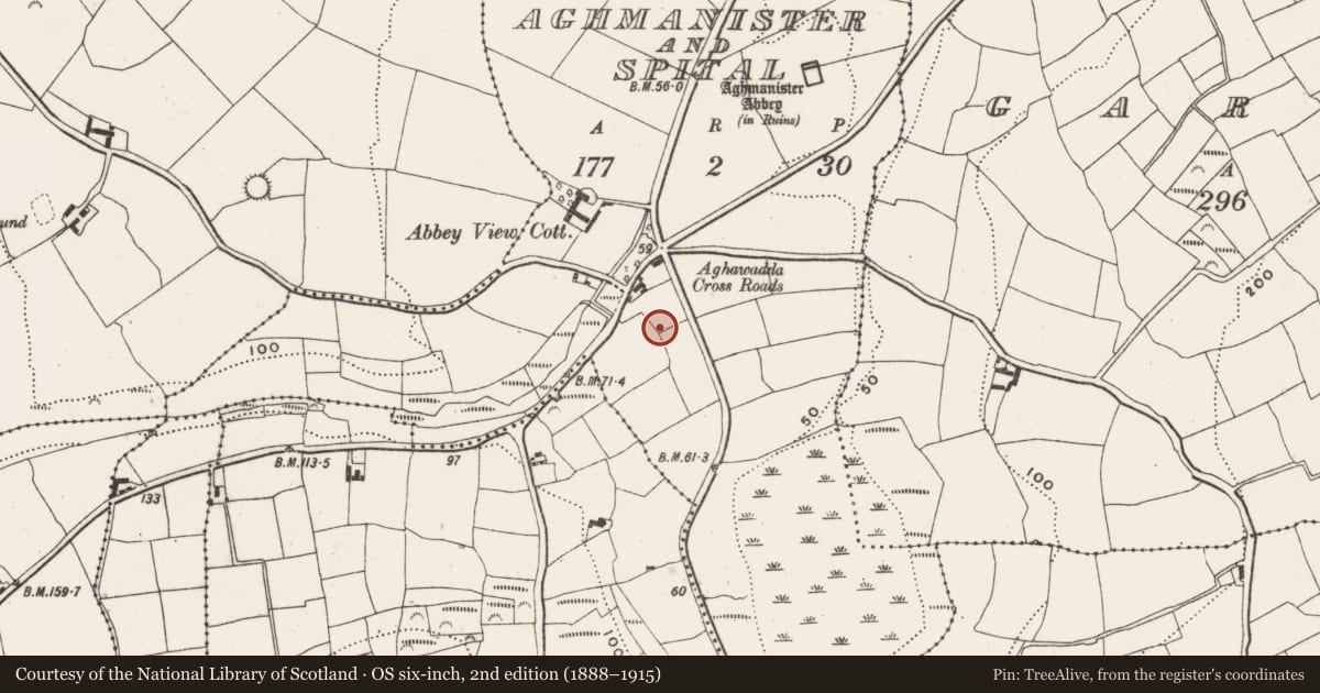 Ordnance Survey six-inch map, 2nd edition (1888–1915) covering the location of Souterrain, Aghamanister And Spital, County Cork, with a pin at the register's coordinates