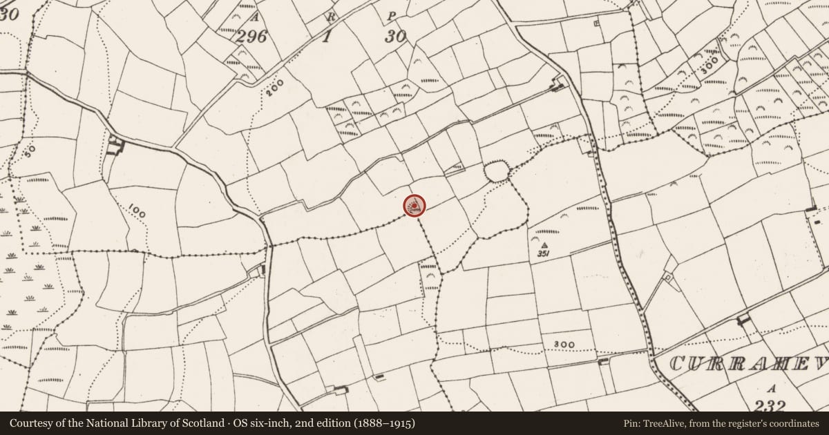 Ordnance Survey six-inch map, 2nd edition (1888–1915) covering the location of Ringfort - rath, Garrane, County Cork, with a pin at the register's coordinates
