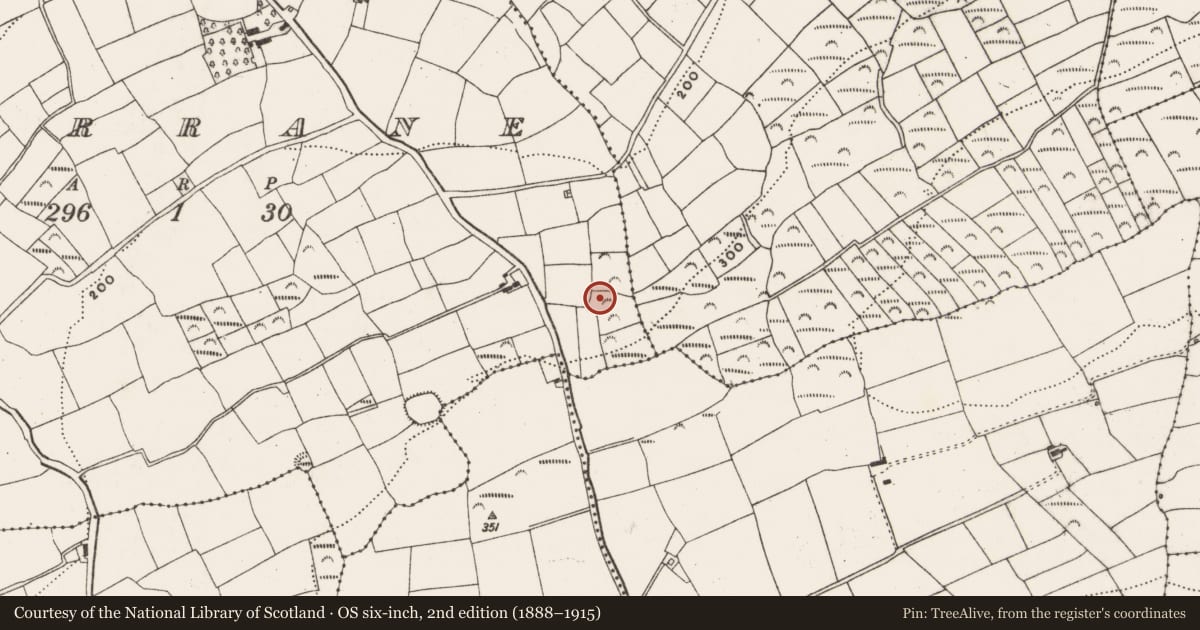 Ordnance Survey six-inch map, 2nd edition (1888–1915) covering the location of Fulacht fia, Garrane, County Cork, with a pin at the register's coordinates