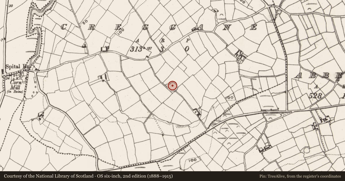 Ordnance Survey six-inch map, 2nd edition (1888–1915) covering the location of Ringfort - rath, Creggane, County Cork, with a pin at the register's coordinates