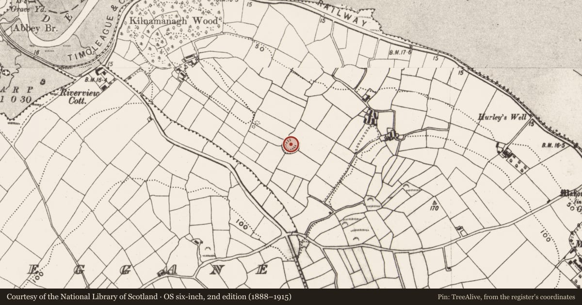 Ordnance Survey six-inch map, 2nd edition (1888–1915) covering the location of Ringfort - rath, Abbeymahon, County Cork, with a pin at the register's coordinates