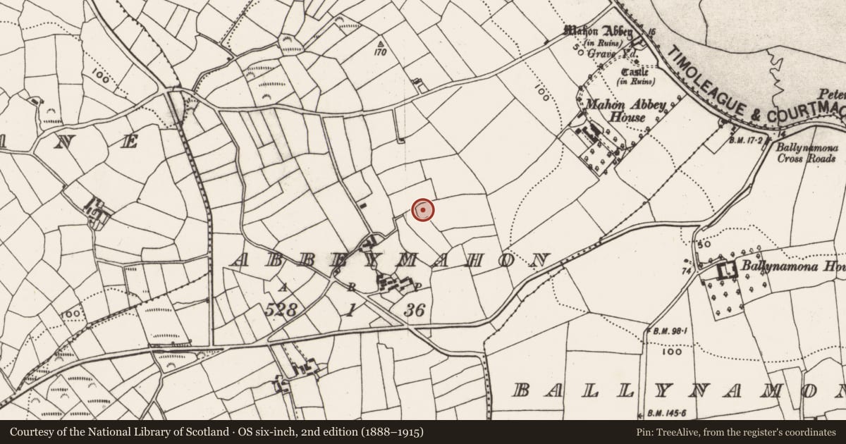 Ordnance Survey six-inch map, 2nd edition (1888–1915) covering the location of Ringfort - rath, Abbeymahon, County Cork, with a pin at the register's coordinates