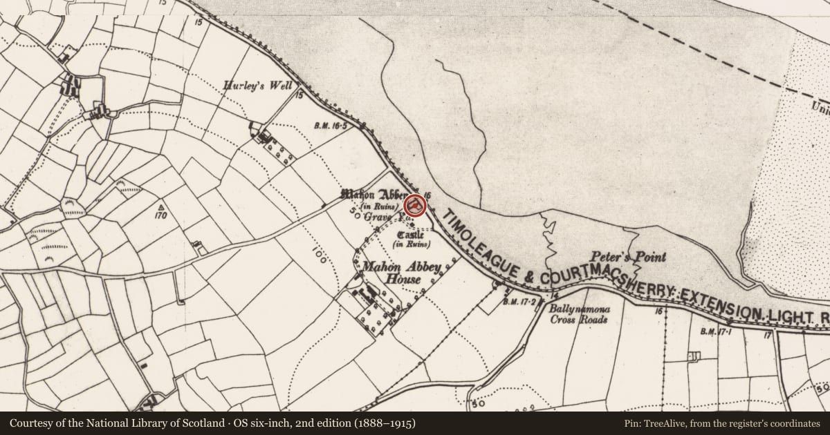Ordnance Survey six-inch map, 2nd edition (1888–1915) covering the location of Graveyard, Abbeymahon, County Cork, with a pin at the register's coordinates