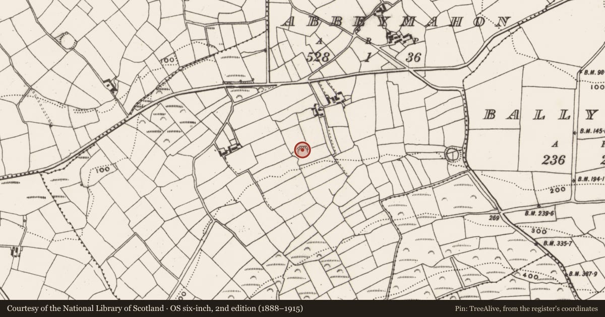 Ordnance Survey six-inch map, 2nd edition (1888–1915) covering the location of Ringfort - rath, Abbeymahon, County Cork, with a pin at the register's coordinates