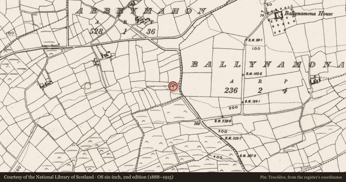 Ordnance Survey six-inch map, 2nd edition (1888–1915) covering the location of Ringfort - rath, Abbeymahon, County Cork, with a pin at the register's coordinates