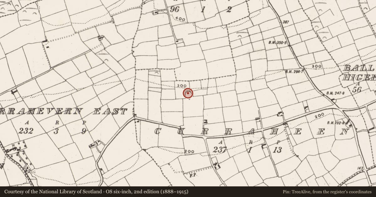 Ordnance Survey six-inch map, 2nd edition (1888–1915) covering the location of Ringfort - rath, Curraheen, County Cork, with a pin at the register's coordinates