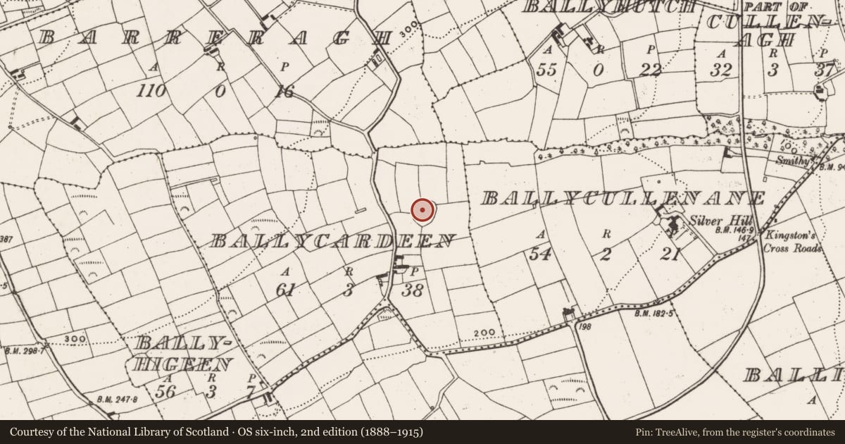 Ordnance Survey six-inch map, 2nd edition (1888–1915) covering the location of Ringfort - rath, Ballycardeen, County Cork, with a pin at the register's coordinates