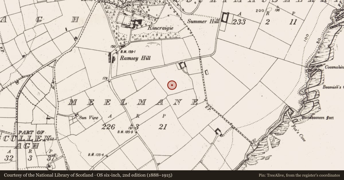 Ordnance Survey six-inch map, 2nd edition (1888–1915) covering the location of Ringfort - rath, Meelmane, County Cork, with a pin at the register's coordinates