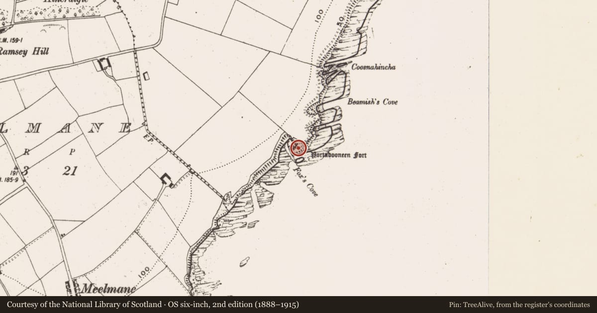 Ordnance Survey six-inch map, 2nd edition (1888–1915) covering the location of Promontory fort - coastal, Courtmacsherry, County Cork, with a pin at the register's coordinates