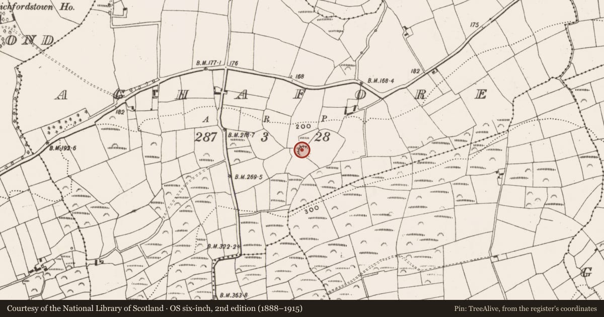 Ordnance Survey six-inch map, 2nd edition (1888–1915) covering the location of Ringfort - rath, Aghafore, County Cork, with a pin at the register's coordinates