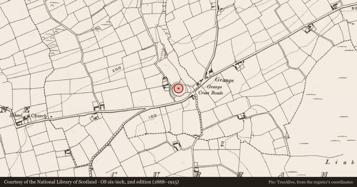 Ordnance Survey six-inch map, 2nd edition (1888–1915) covering the location of Ringfort - rath, Grange Beg, County Cork, with a pin at the register's coordinates