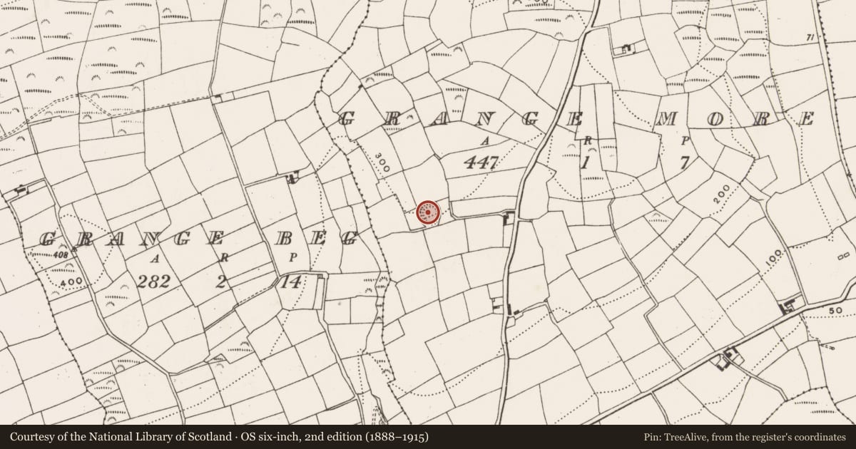 Ordnance Survey six-inch map, 2nd edition (1888–1915) covering the location of Ringfort - rath, Grange More, County Cork, with a pin at the register's coordinates