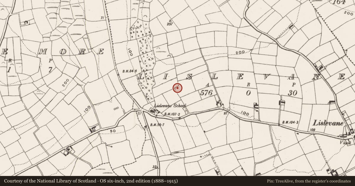 Ordnance Survey six-inch map, 2nd edition (1888–1915) covering the location of Ringfort - rath, Lislevane, County Cork, with a pin at the register's coordinates
