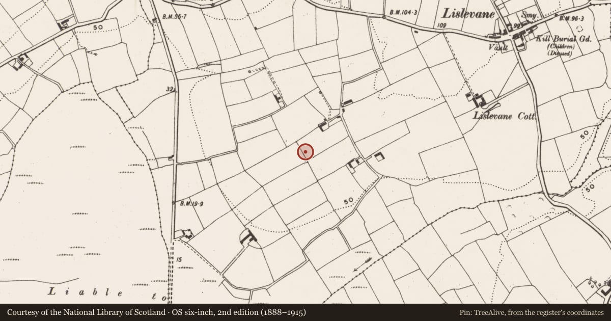 Ordnance Survey six-inch map, 2nd edition (1888–1915) covering the location of Ringfort - rath, Lislevane, County Cork, with a pin at the register's coordinates
