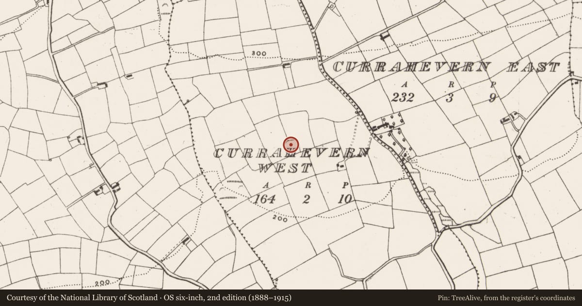Ordnance Survey six-inch map, 2nd edition (1888–1915) covering the location of Enclosure, Currahevern West, County Cork, with a pin at the register's coordinates