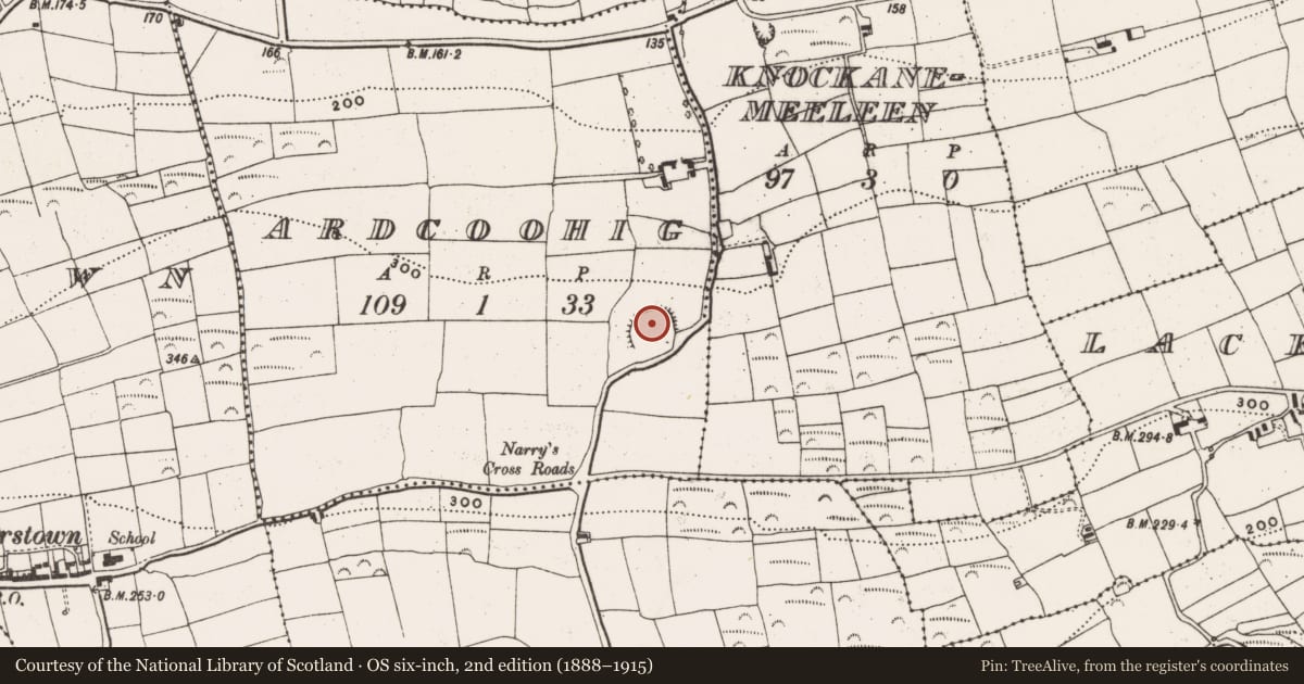 Ordnance Survey six-inch map, 2nd edition (1888–1915) covering the location of Ringfort - rath, Ardcoohig, County Cork, with a pin at the register's coordinates