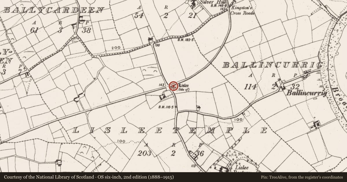 Ordnance Survey six-inch map, 2nd edition (1888–1915) covering the location of Ringfort - rath, Lisleetemple, County Cork, with a pin at the register's coordinates