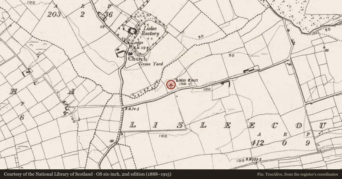Ordnance Survey six-inch map, 2nd edition (1888–1915) covering the location of Castle - unclassified, Lisleecourt, County Cork, with a pin at the register's coordinates