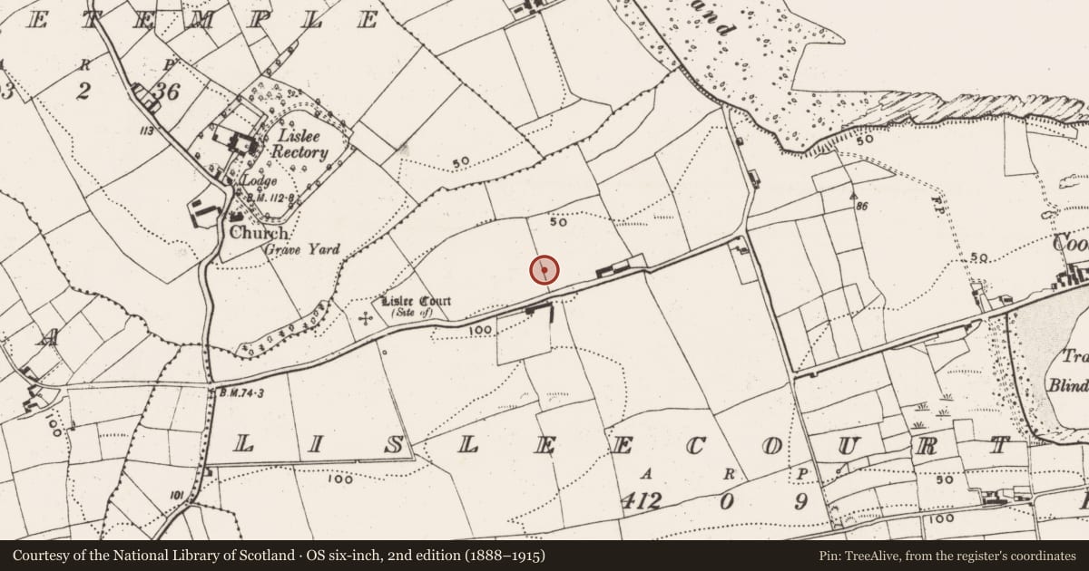 Ordnance Survey six-inch map, 2nd edition (1888–1915) covering the location of Ringfort - rath, Lisleecourt, County Cork, with a pin at the register's coordinates