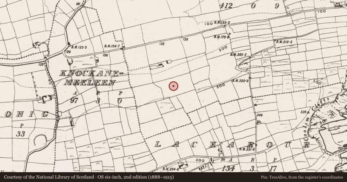 Ordnance Survey six-inch map, 2nd edition (1888–1915) covering the location of Ringfort - rath, Lisleecourt, County Cork, with a pin at the register's coordinates