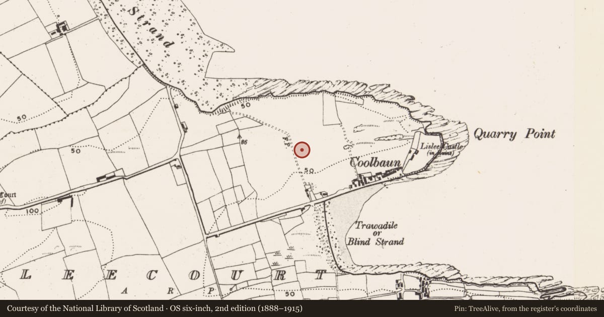 Ordnance Survey six-inch map, 2nd edition (1888–1915) covering the location of Field system, Lisleecourt, County Cork, with a pin at the register's coordinates