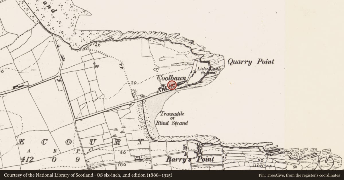 Ordnance Survey six-inch map, 2nd edition (1888–1915) covering the location of Settlement cluster, Lisleecourt, County Cork, with a pin at the register's coordinates