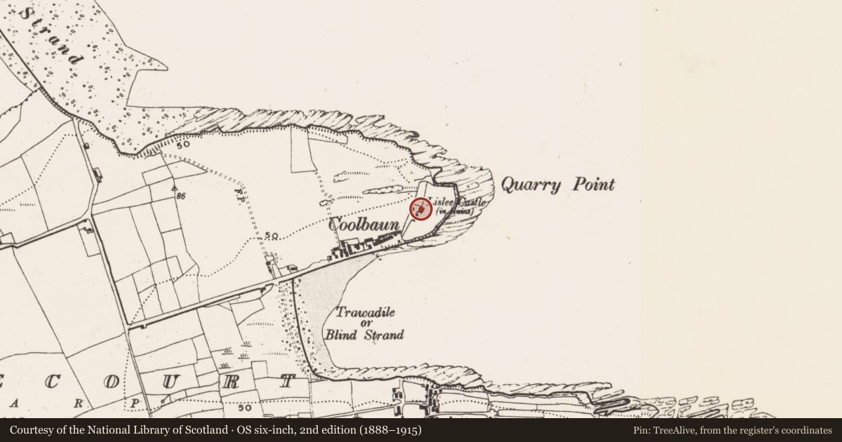 Ordnance Survey six-inch map, 2nd edition (1888–1915) covering the location of Country house, Lisleecourt, County Cork, with a pin at the register's coordinates