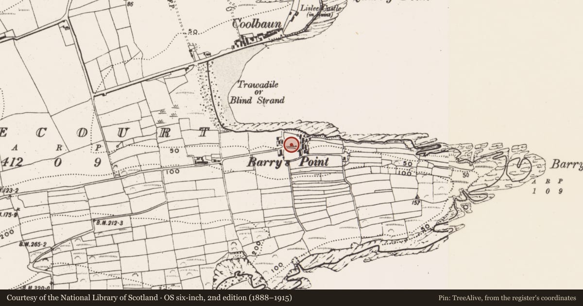Ordnance Survey six-inch map, 2nd edition (1888–1915) covering the location of Settlement cluster, Lisleecourt, County Cork, with a pin at the register's coordinates