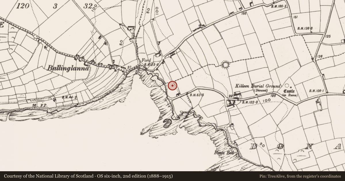 Ordnance Survey six-inch map, 2nd edition (1888–1915) covering the location of Ringfort - rath, Donaghmore, County Cork, with a pin at the register's coordinates
