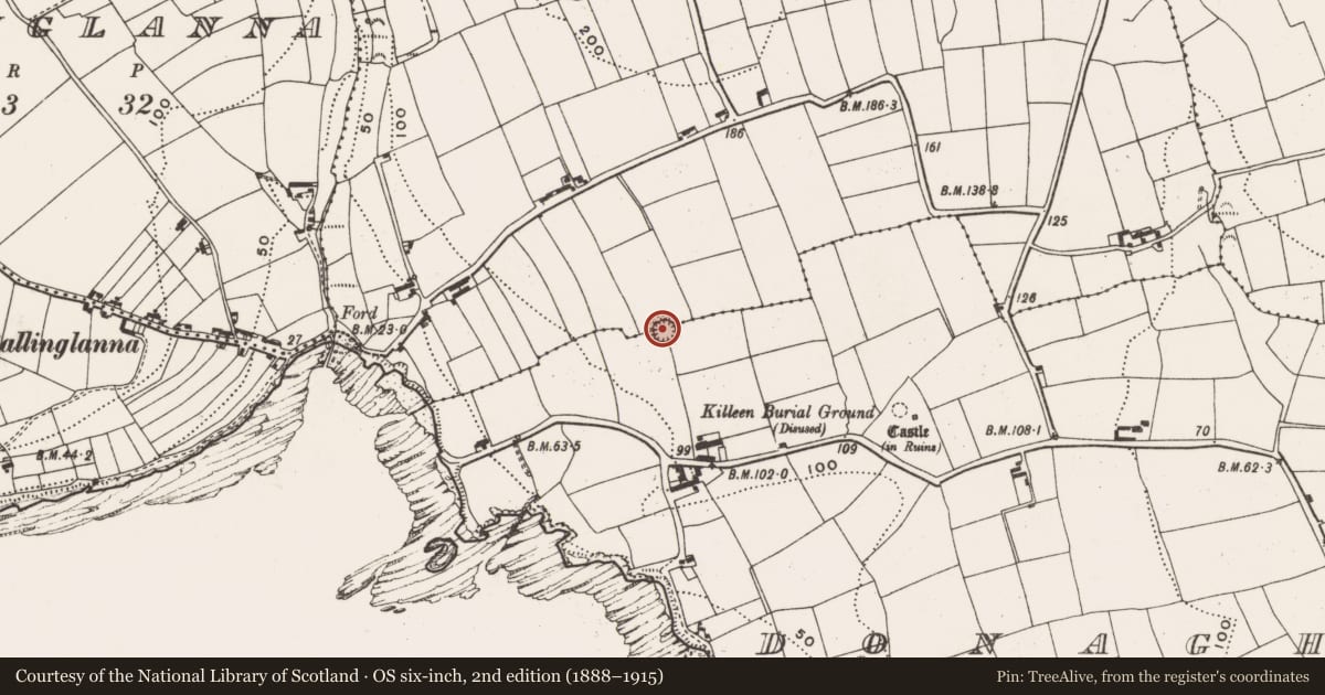Ordnance Survey six-inch map, 2nd edition (1888–1915) covering the location of Ringfort - rath, Donaghmore, County Cork, with a pin at the register's coordinates