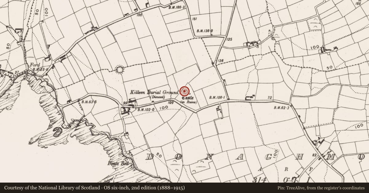 Ordnance Survey six-inch map, 2nd edition (1888–1915) covering the location of Burial ground, Donaghmore, County Cork, with a pin at the register's coordinates