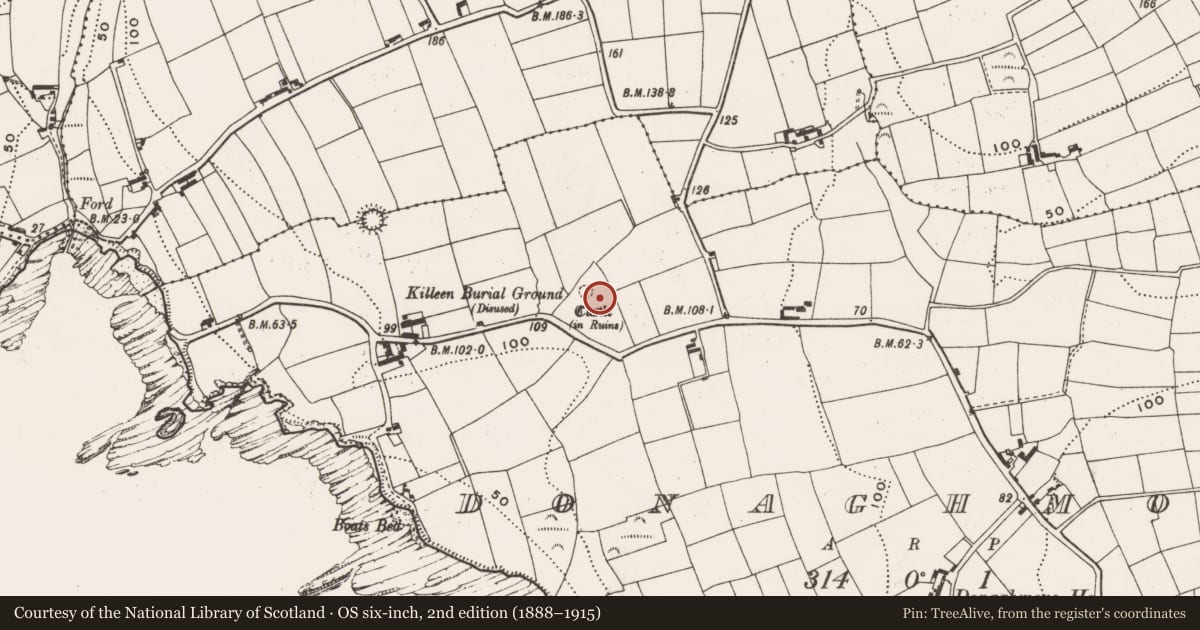 Ordnance Survey six-inch map, 2nd edition (1888–1915) covering the location of Castle - unclassified, Donaghmore, County Cork, with a pin at the register's coordinates