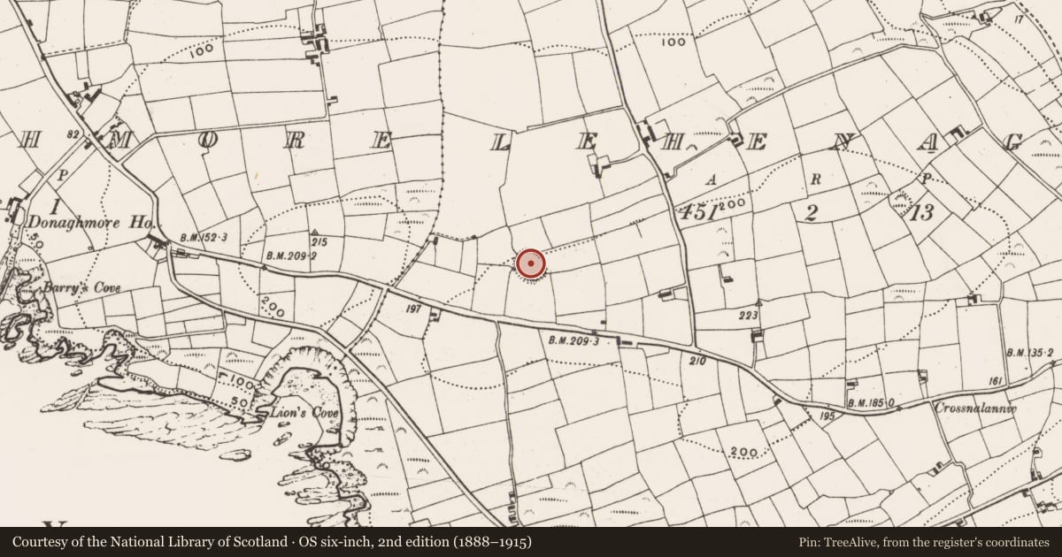 Ordnance Survey six-inch map, 2nd edition (1888–1915) covering the location of Ringfort - rath, Lehenagh, County Cork, with a pin at the register's coordinates