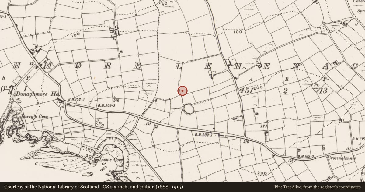 Ordnance Survey six-inch map, 2nd edition (1888–1915) covering the location of Ringfort - rath, Lehenagh, County Cork, with a pin at the register's coordinates