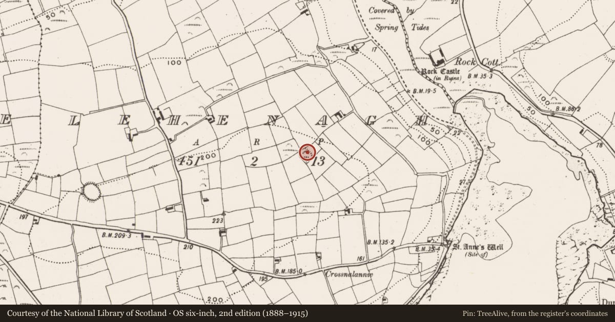 Ordnance Survey six-inch map, 2nd edition (1888–1915) covering the location of Ringfort - rath, Lehenagh, County Cork, with a pin at the register's coordinates