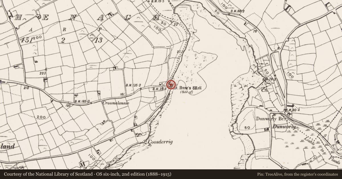 Ordnance Survey six-inch map, 2nd edition (1888–1915) covering the location of Ritual site - holy well, Lehenagh, County Cork, with a pin at the register's coordinates