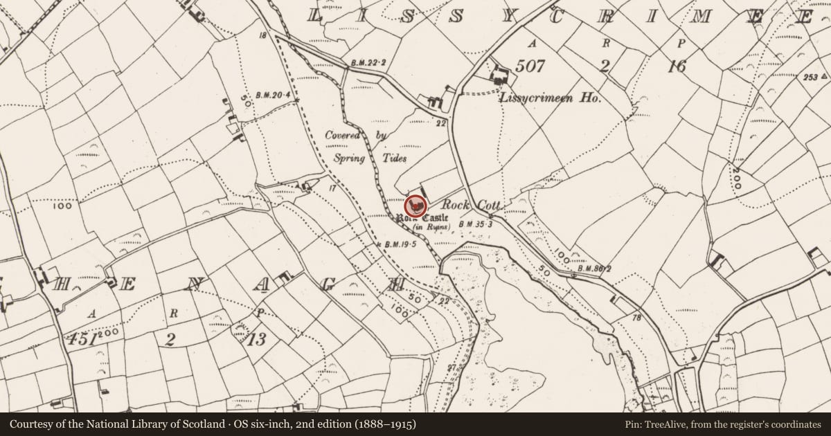 Ordnance Survey six-inch map, 2nd edition (1888–1915) covering the location of Castle - tower house, Lissycrimeen, County Cork, with a pin at the register's coordinates