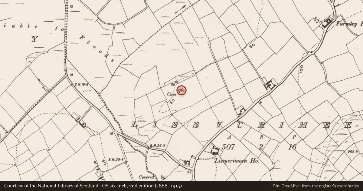 Ordnance Survey six-inch map, 2nd edition (1888–1915) covering the location of Ringfort - rath, Lissycrimeen, County Cork, with a pin at the register's coordinates